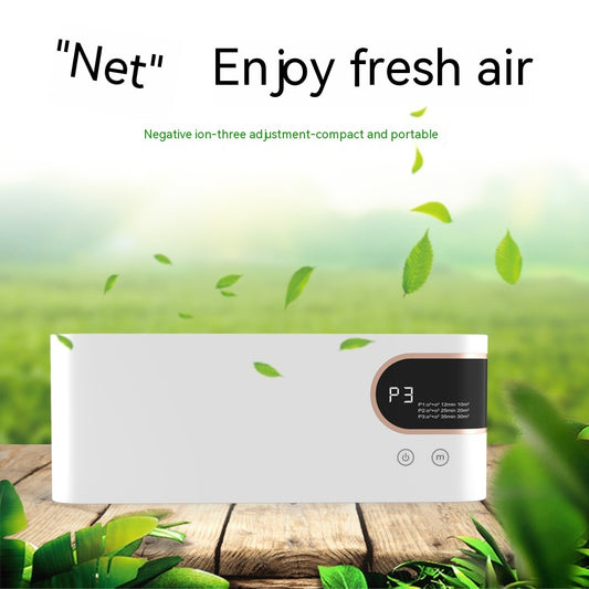 Intelligent Portable Anion Air Purifier